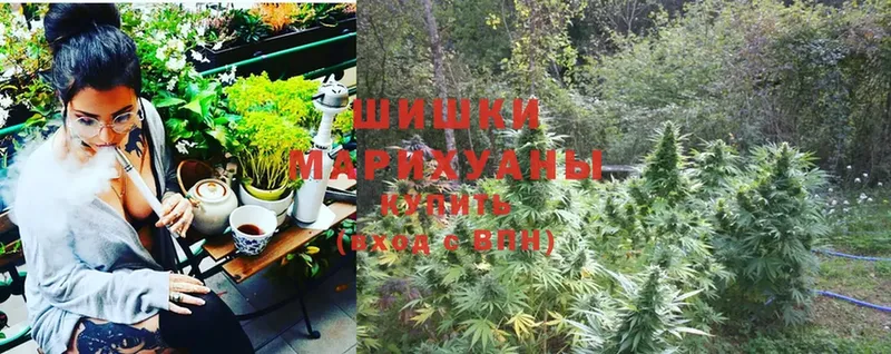 магазин продажи   Ленинградская  Шишки марихуана THC 21% 